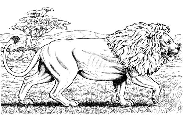 Imagen para imprimir