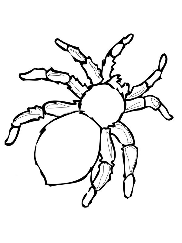 Imagen para imprimir