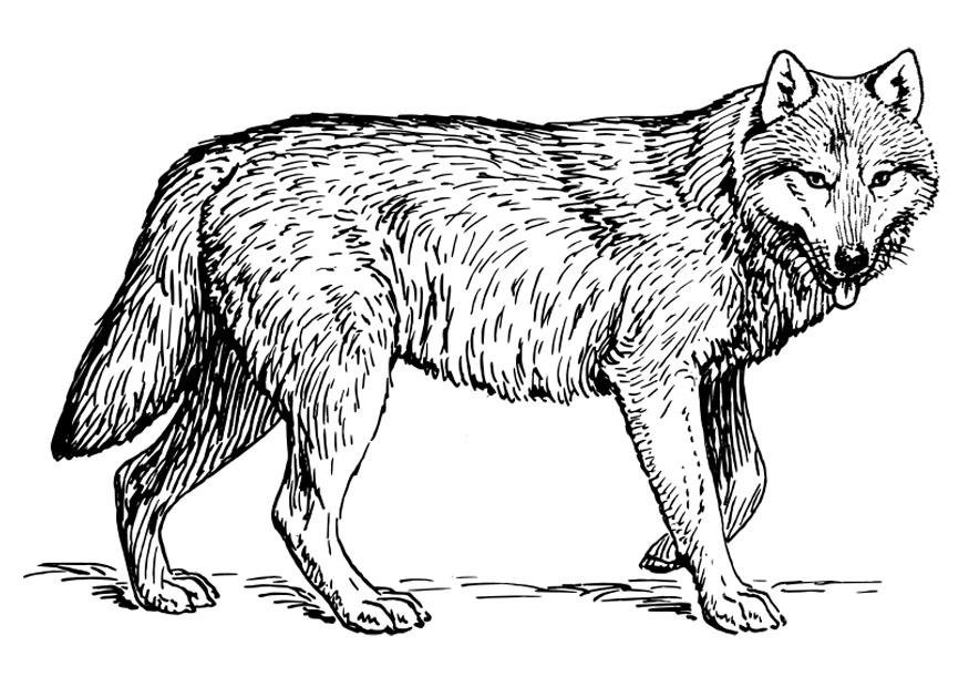 Imagen para imprimir