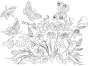 midsommar-malarbilder-att-skriva-ut-gratis